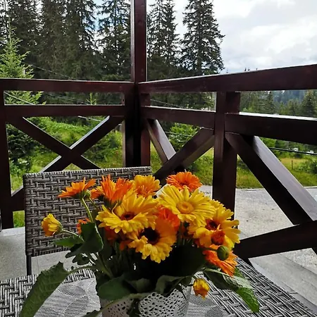Gorski Javor Apartament